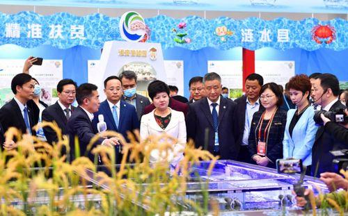 淮安食品爆料案件最新,揭露食品安全背后的惊人真相  第1张